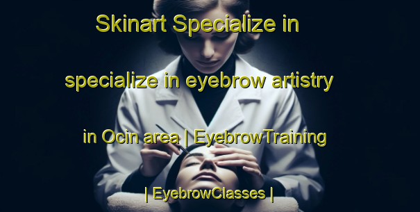 Skinart Specialize in specialize in eyebrow artistry in Ocin area | EyebrowTraining | EyebrowClasses | SkinartTraining-Poland